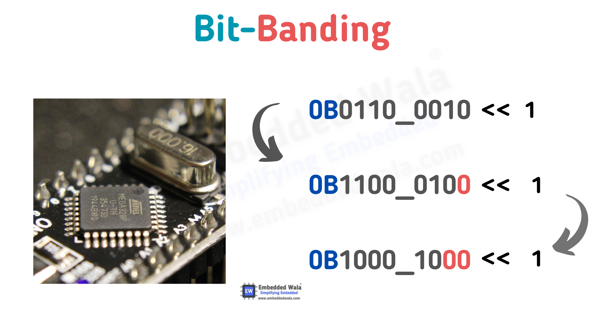  Banding Systems